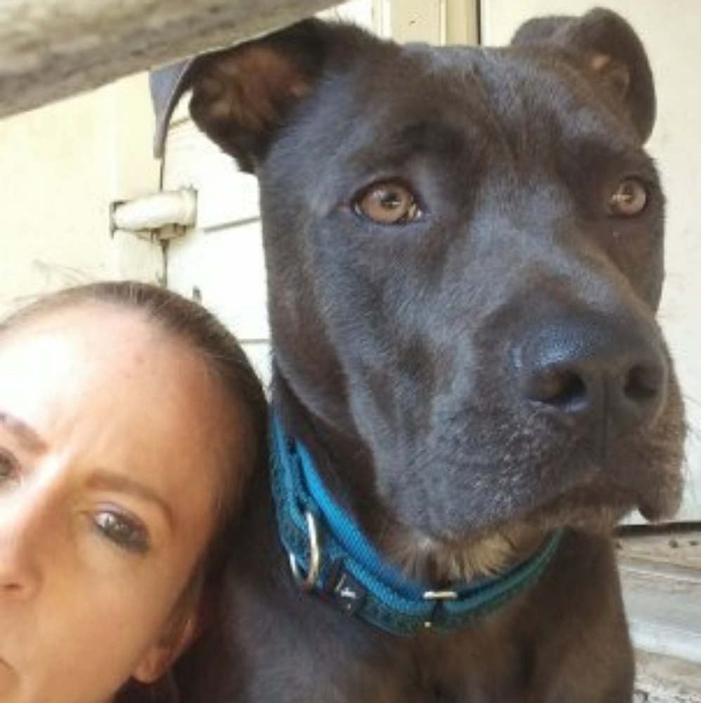 Meet your Posher, Michele